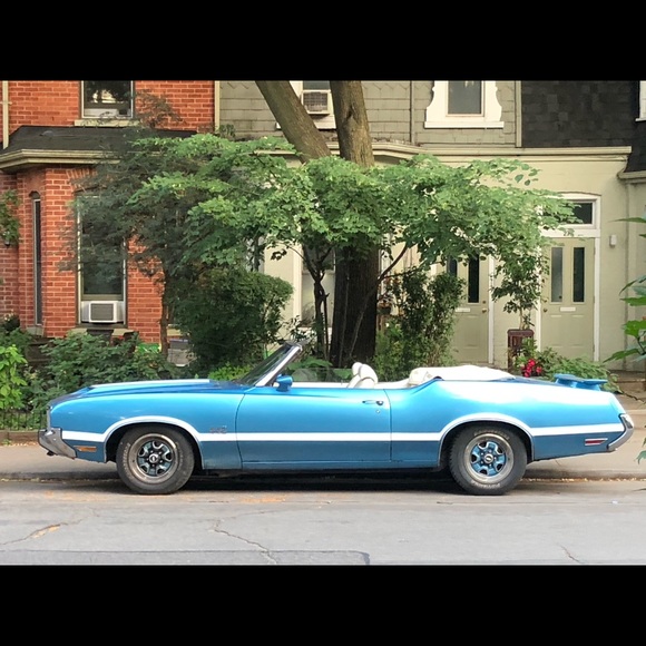 Meet your Posher, Sara - Picture 10 of 16